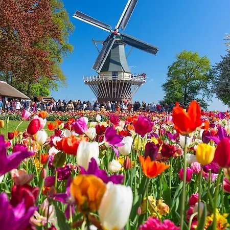 De Koophandel 3*