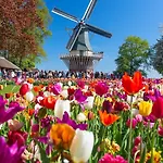 De Koophandel 3*
